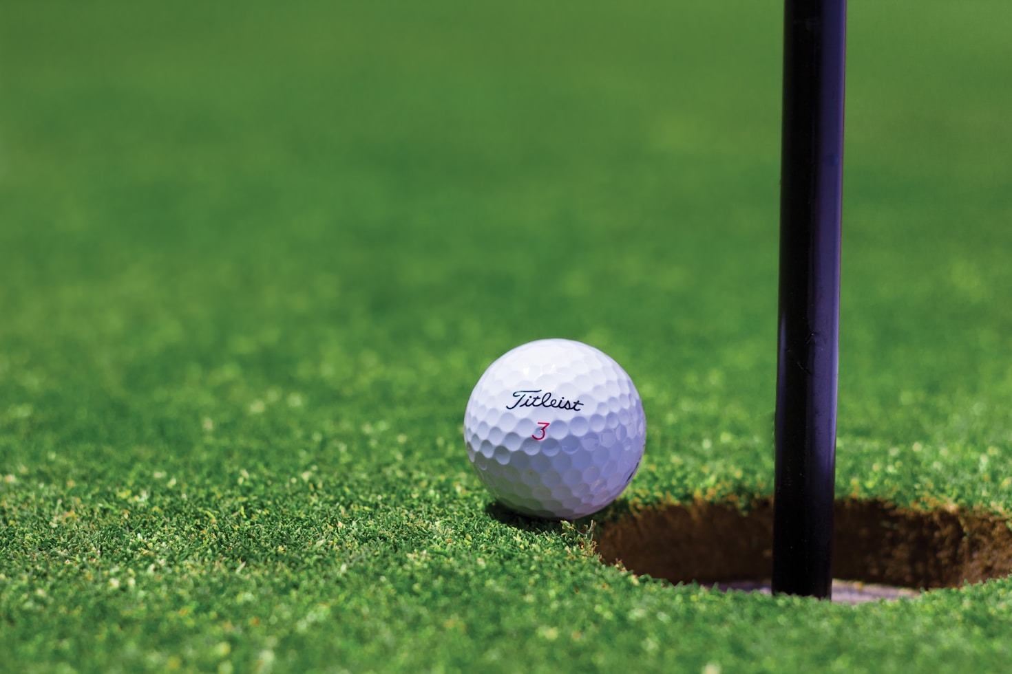 Infusing the Grateful Dead Spirit into Golf